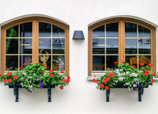 Arched windows with colour