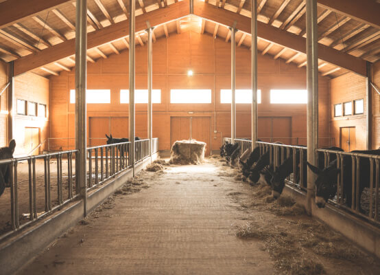 Windows in a working barn